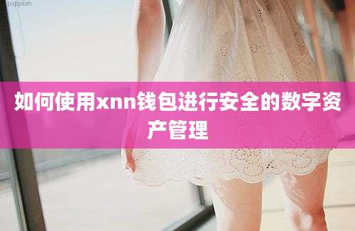 如何使用xnn钱包进行安全的数字资产管理