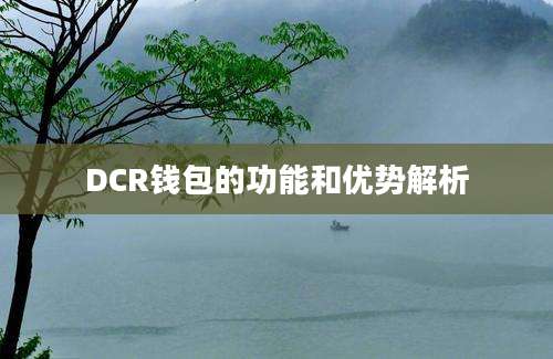 DCR钱包的功能和优势解析