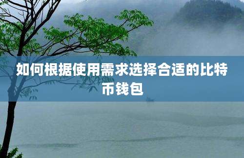 如何根据使用需求选择合适的比特币钱包