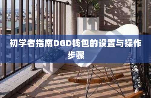 初学者指南DGD钱包的设置与操作步骤