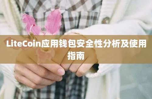 LiteCoin应用钱包安全性分析及使用指南