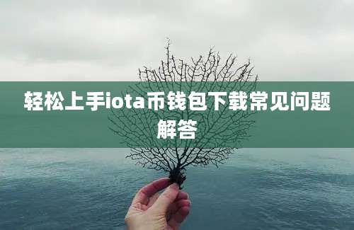 轻松上手iota币钱包下载常见问题解答