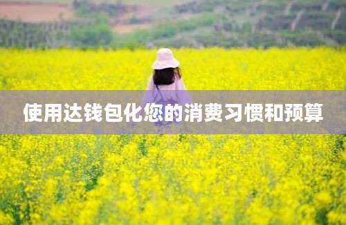 使用达钱包化您的消费习惯和预算