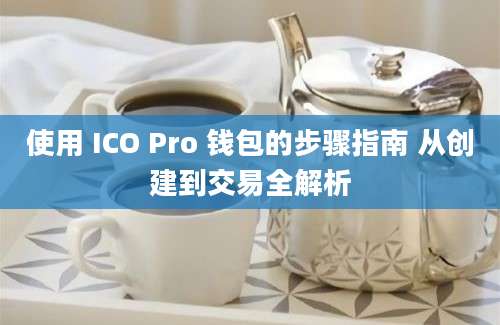 使用 ICO Pro 钱包的步骤指南 从创建到交易全解析