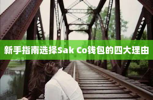 新手指南选择Sak Co钱包的四大理由