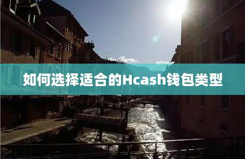 如何选择适合的Hcash钱包类型