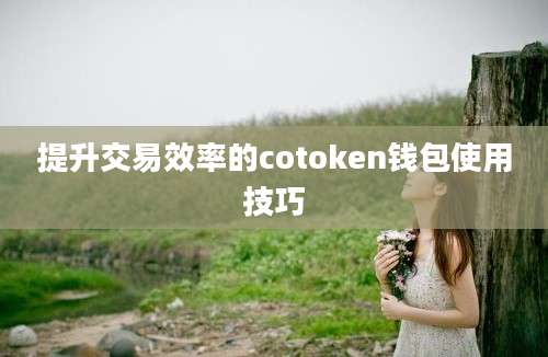 提升交易效率的cotoken钱包使用技巧