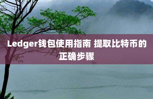 Ledger钱包使用指南 提取比特币的正确步骤