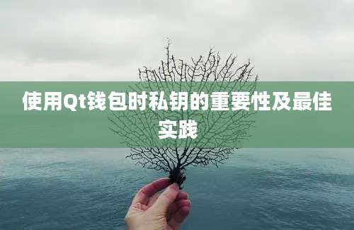 使用Qt钱包时私钥的重要性及最佳实践