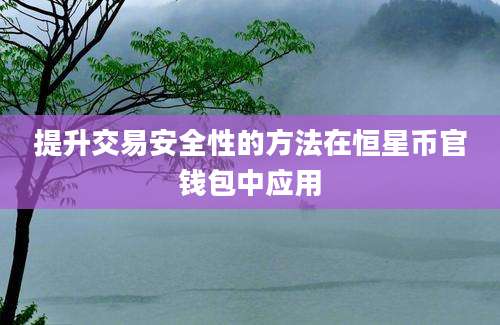 提升交易安全性的方法在恒星币官钱包中应用