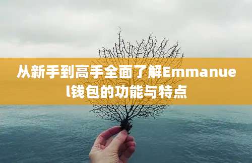 从新手到高手全面了解Emmanuel钱包的功能与特点