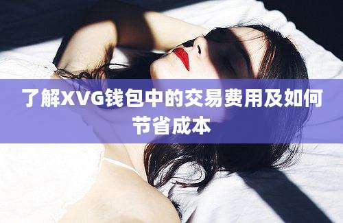 了解XVG钱包中的交易费用及如何节省成本