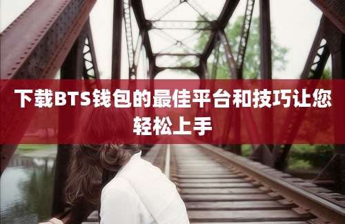 下载BTS钱包的最佳平台和技巧让您轻松上手