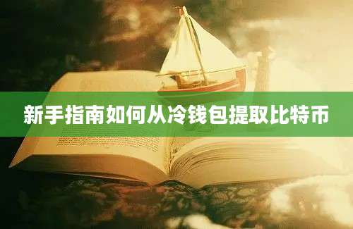 新手指南如何从冷钱包提取比特币