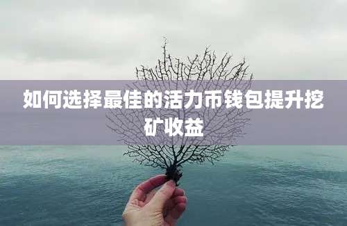 如何选择最佳的活力币钱包提升挖矿收益