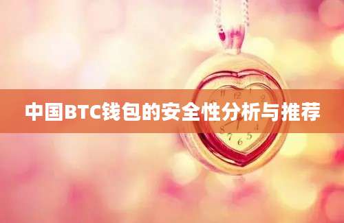 中国BTC钱包的安全性分析与推荐