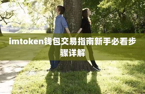 imtoken钱包交易指南新手必看步骤详解