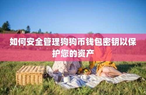 如何安全管理狗狗币钱包密钥以保护您的资产