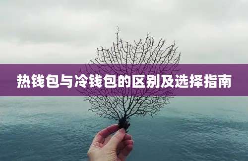 热钱包与冷钱包的区别及选择指南