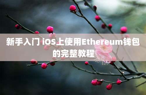 新手入门 iOS上使用Ethereum钱包的完整教程