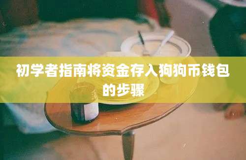 初学者指南将资金存入狗狗币钱包的步骤