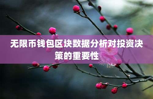 无限币钱包区块数据分析对投资决策的重要性