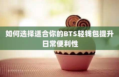 如何选择适合你的BTS轻钱包提升日常便利性