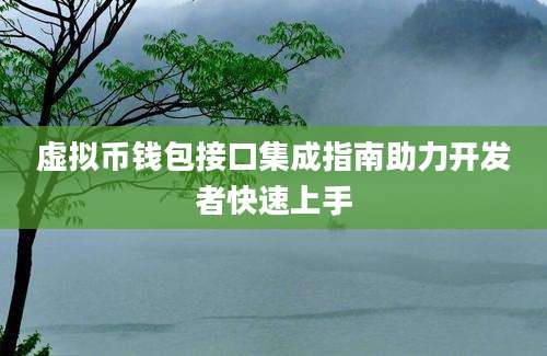 虚拟币钱包接口集成指南助力开发者快速上手