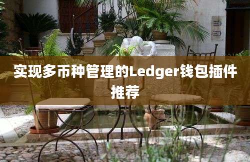 实现多币种管理的Ledger钱包插件推荐