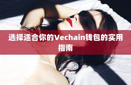 选择适合你的Vechain钱包的实用指南