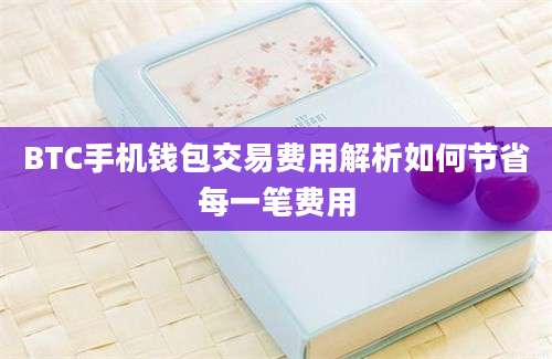 BTC手机钱包交易费用解析如何节省每一笔费用