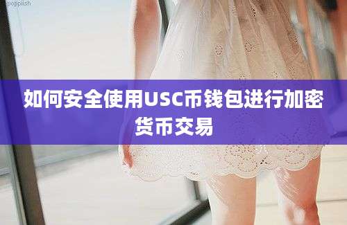 如何安全使用USC币钱包进行加密货币交易