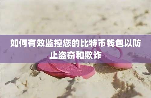 如何有效监控您的比特币钱包以防止盗窃和欺诈