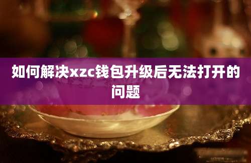 如何解决xzc钱包升级后无法打开的问题