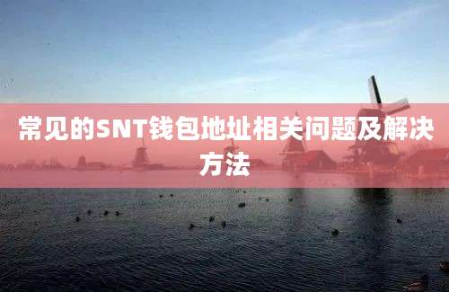 常见的SNT钱包地址相关问题及解决方法