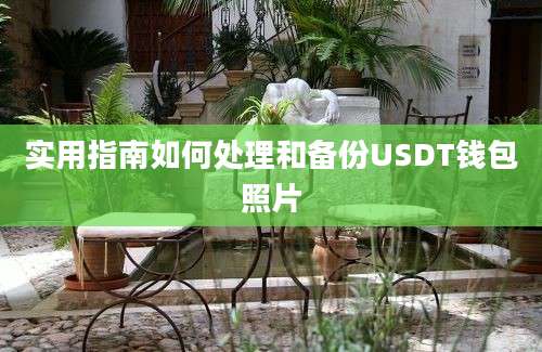 实用指南如何处理和备份USDT钱包照片