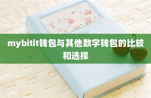 mybitit钱包与其他数字钱包的比较和选择