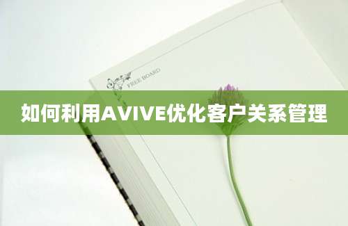 如何利用AVIVE优化客户关系管理