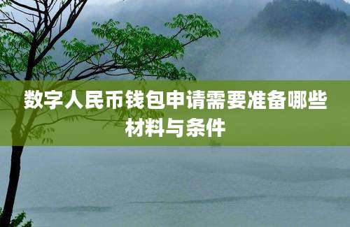 数字人民币钱包申请需要准备哪些材料与条件