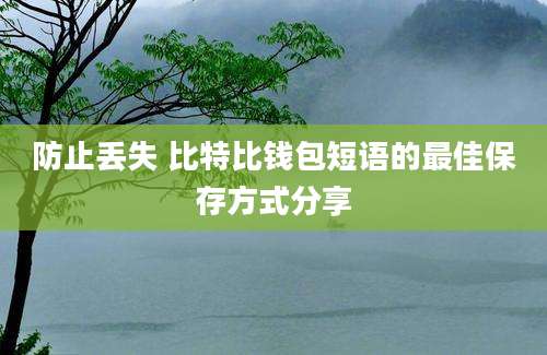 防止丢失 比特比钱包短语的最佳保存方式分享