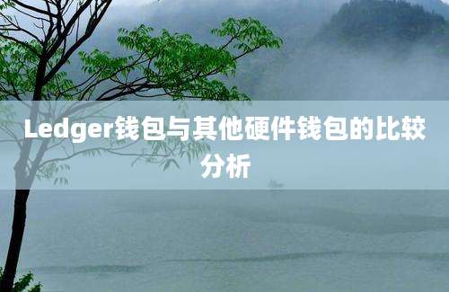 Ledger钱包与其他硬件钱包的比较分析