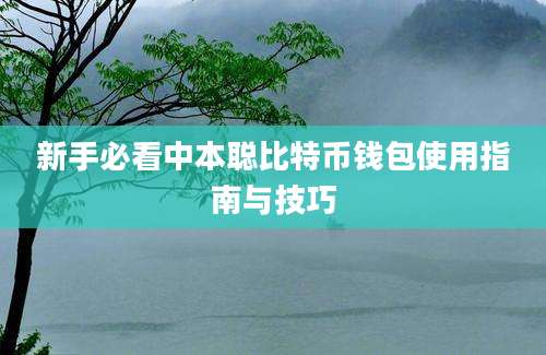 新手必看中本聪比特币钱包使用指南与技巧