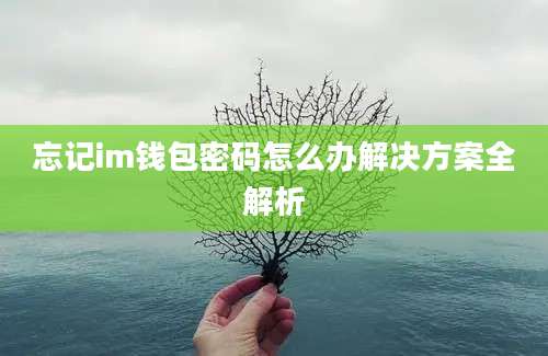 忘记im钱包密码怎么办解决方案全解析