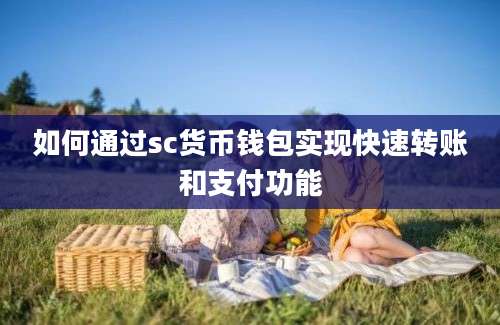 如何通过sc货币钱包实现快速转账和支付功能