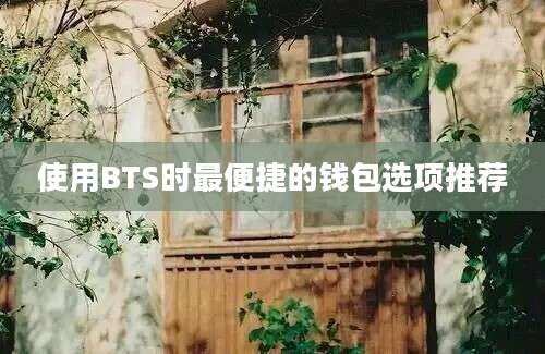 使用BTS时最便捷的钱包选项推荐