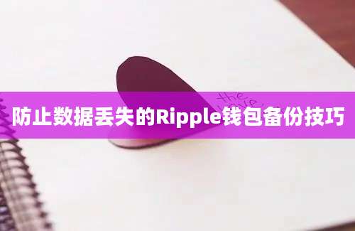 防止数据丢失的Ripple钱包备份技巧