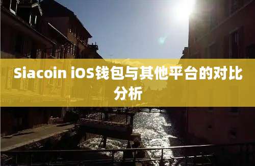 Siacoin iOS钱包与其他平台的对比分析