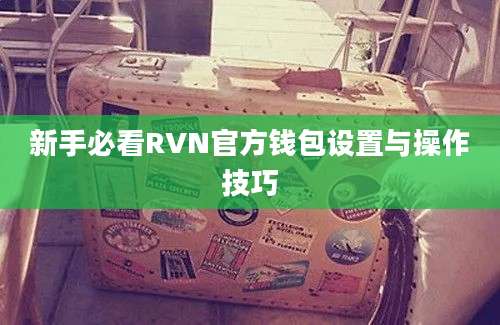 新手必看RVN官方钱包设置与操作技巧