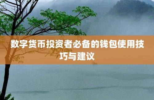 数字货币投资者必备的钱包使用技巧与建议