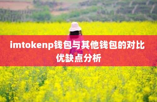 imtokenp钱包与其他钱包的对比 优缺点分析